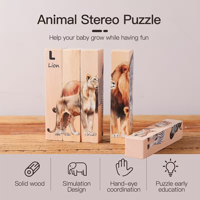 Educational Wooden puzzle blocks