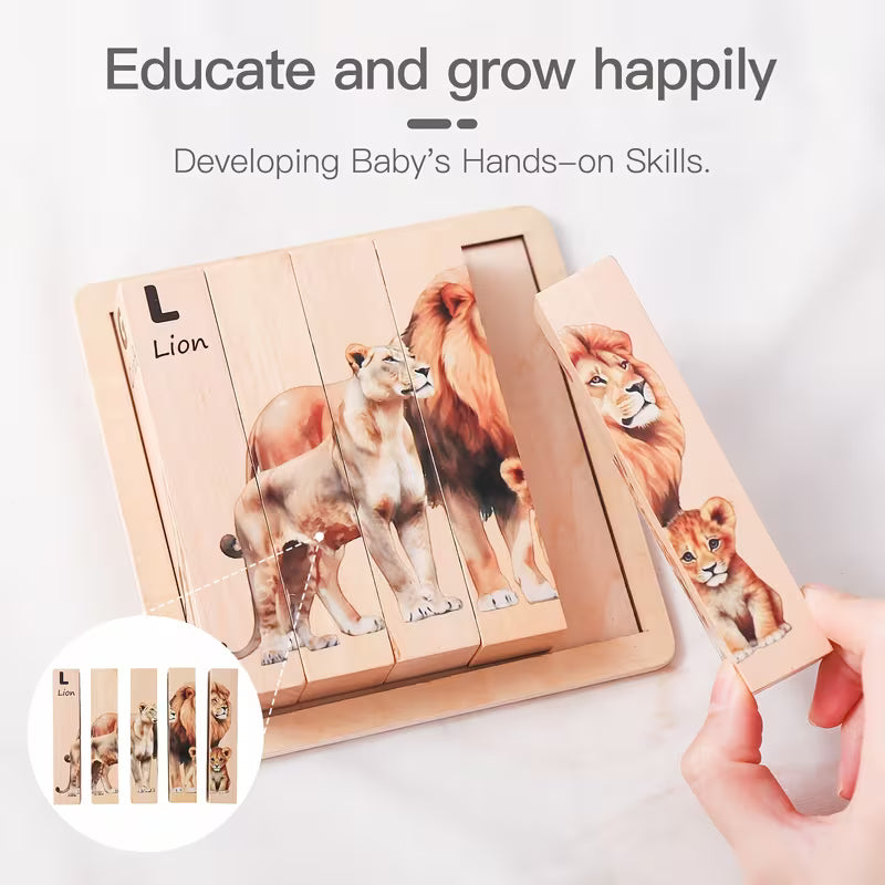 Educational Wooden puzzle blocks