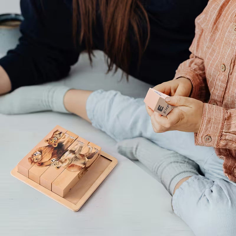 Educational Wooden puzzle blocks