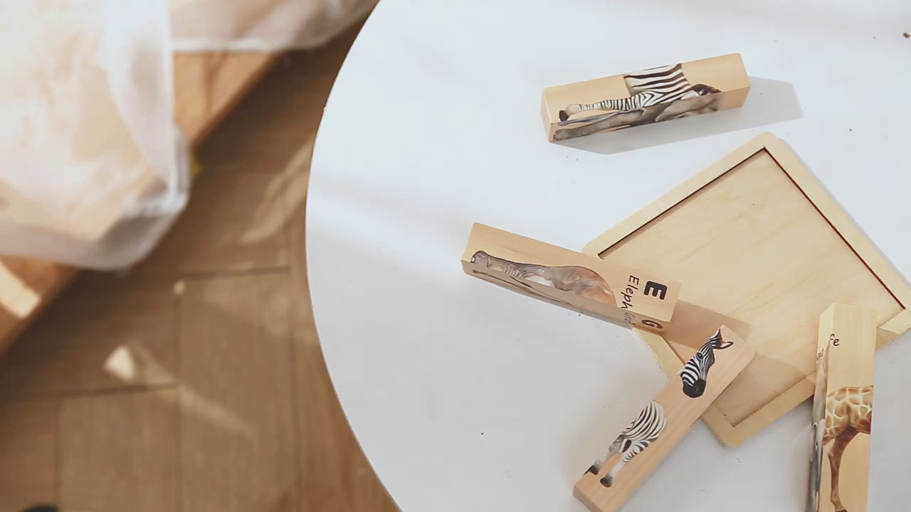 Educational Wooden puzzle blocks